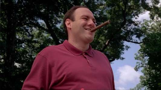Wise Guy David Chase and The Sopranos - Backdrops
