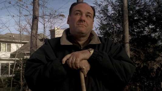 Wise Guy David Chase and The Sopranos - Backdrops