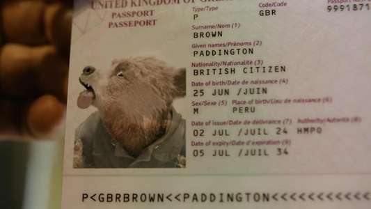 Paddington in Peru - Backdrops