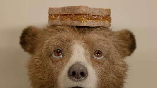 Paddington in Peru - Backdrops