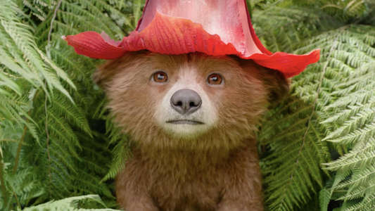 Paddington in Peru - Backdrops