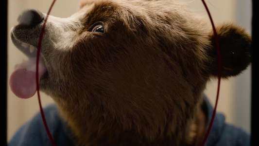 Paddington in Peru - Backdrops