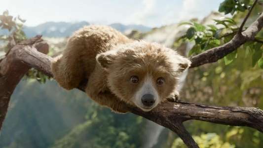 Paddington in Peru - Backdrops
