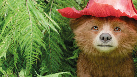 Paddington in Peru - Backdrops
