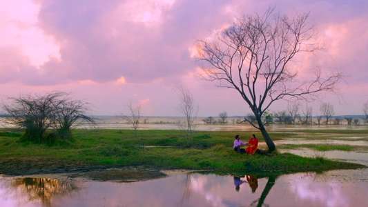 Bottle Radha - Backdrops