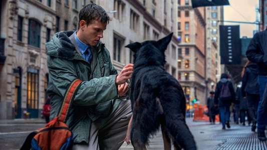 Babygirl - Backdrops