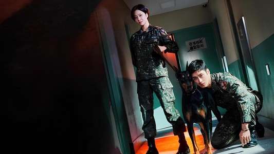 Military Prosecutor Doberman - Backdrops