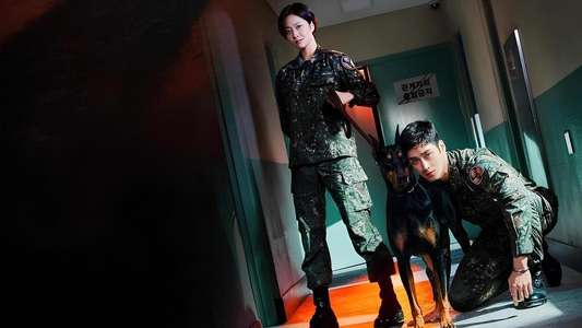 Military Prosecutor Doberman - Backdrops