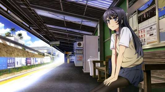 Rascal Does Not Dream of Bunny Girl Senpai - Backdrops