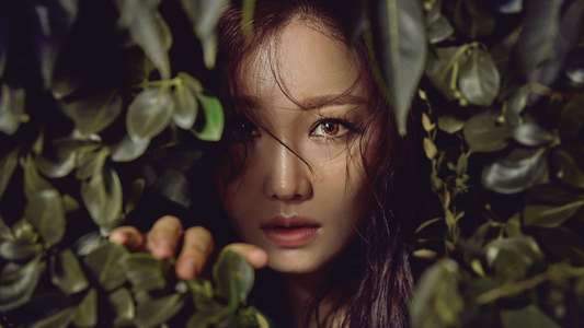 Hide and Seek - Backdrops