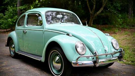 The Curse of the Necklace - Backdrops