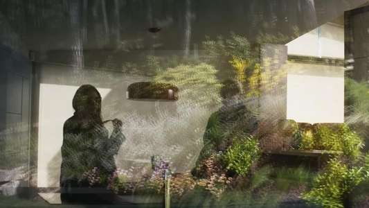 The Room Next Door - Backdrops