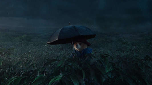 Paddington in Peru - Backdrops