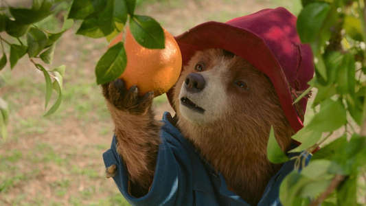 Paddington in Peru - Backdrops