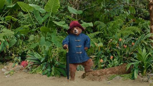 Paddington in Peru - Backdrops