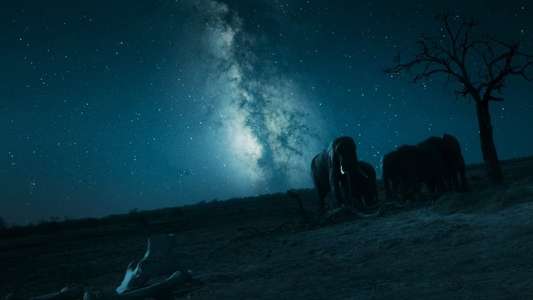 Our Universe - Backdrops