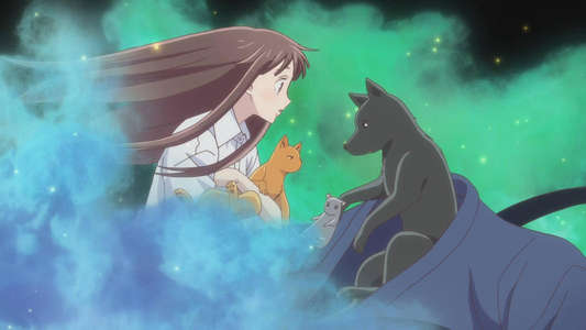 Fruits Basket - Backdrops