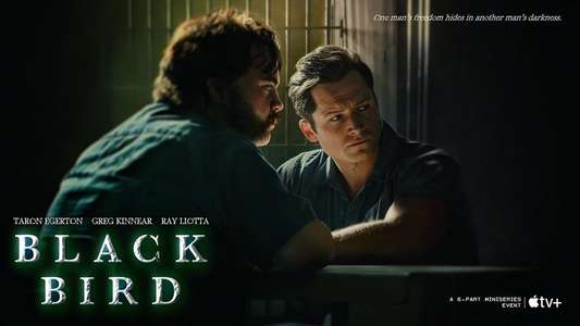 Black Bird - Backdrops