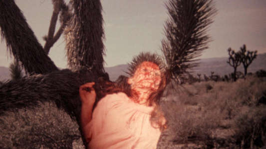 Meatcleaver Massacre - Backdrops