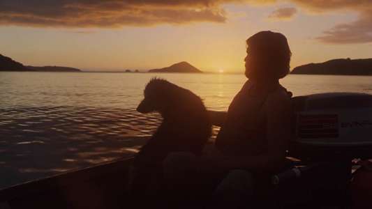 Sleeping Dogs - Backdrops