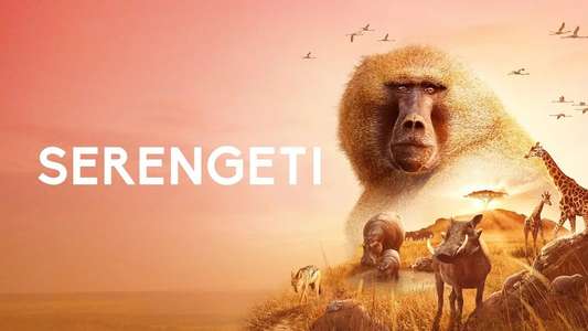 Serengeti - Backdrops