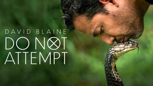 David Blaine Do Not Attempt - Backdrops