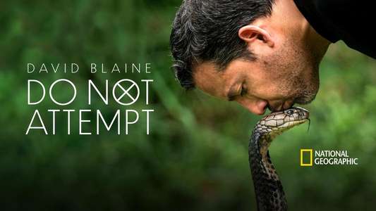 David Blaine Do Not Attempt - Backdrops