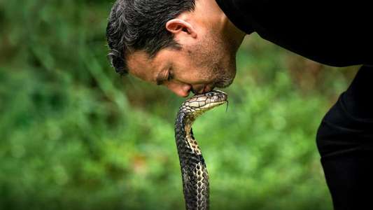 David Blaine Do Not Attempt - Backdrops