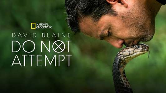 David Blaine Do Not Attempt - Backdrops