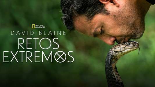David Blaine Do Not Attempt - Backdrops