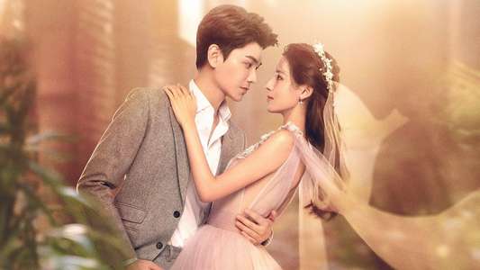 Intense Love - Backdrops
