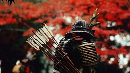 Age of Samurai: Battle for Japan - Backdrops