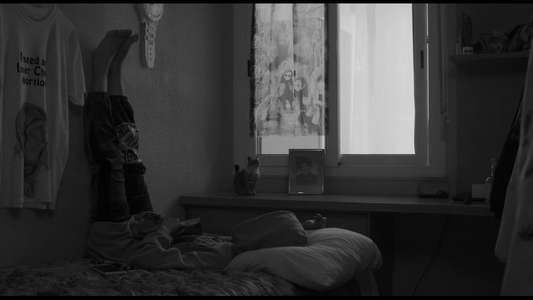 El Planeta - Backdrops
