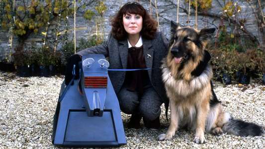 K-9 and Company: A Girl's Best Friend - Backdrops