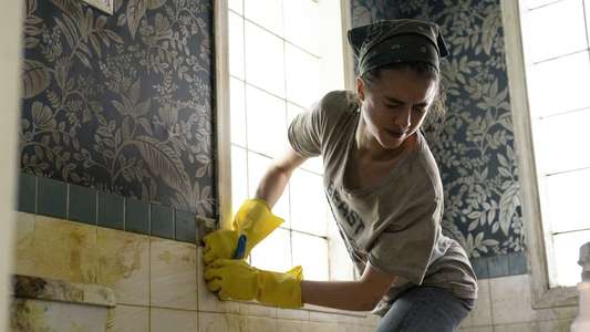 Maid - Backdrops