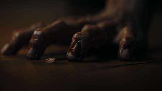 Wolf Man - Backdrops