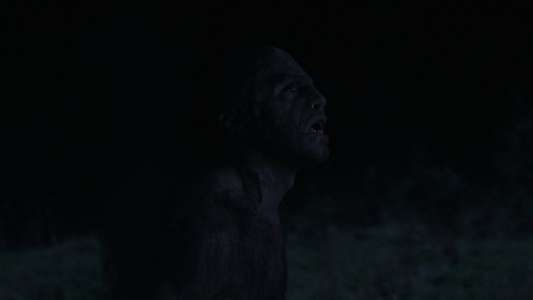 Wolf Man - Backdrops