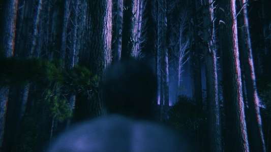 Wolf Man - Backdrops