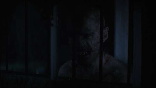 Wolf Man - Backdrops