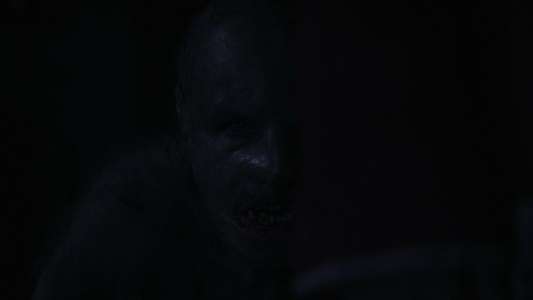 Wolf Man - Backdrops