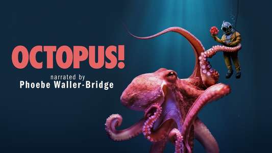 Octopus! - Backdrops
