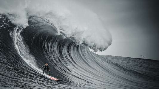 100 Foot Wave - Backdrops