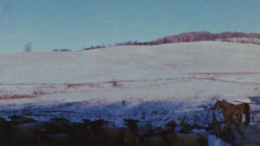 Horizons - Backdrops