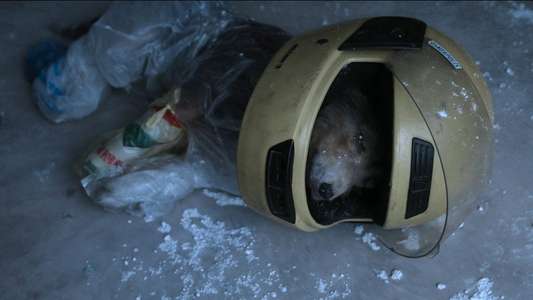 The Eternaut - Backdrops