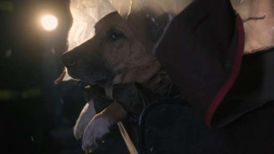 The Eternaut - Backdrops