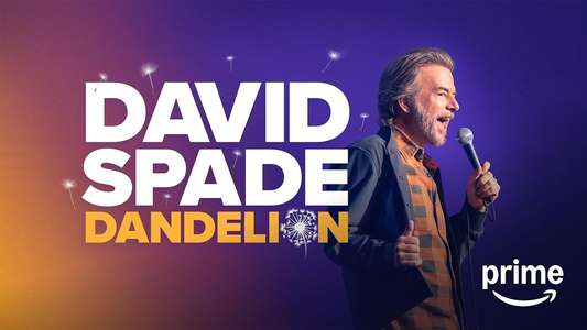 David Spade: Dandelion - Backdrops
