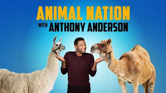 Animal Nation With Anthony Anderson - Backdrops