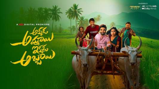 Akkada Ammai Ikkada Abbai - Backdrops