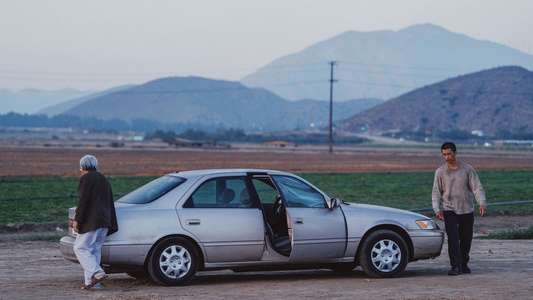 The Accidental Getaway Driver - Backdrops