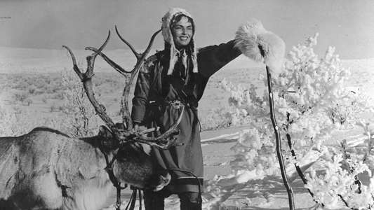 The White Reindeer - Backdrops